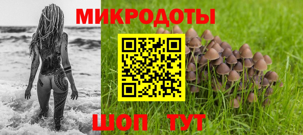 Волхов  Псилоцибиновые грибы Psilocybe  Вход с VPN 